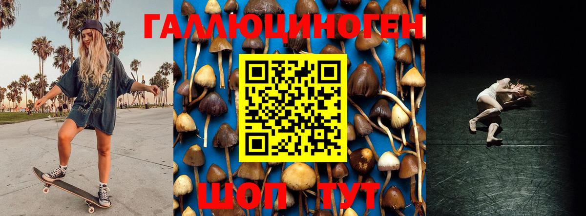 Псилоцибиновые грибы Cubensis Сызрань